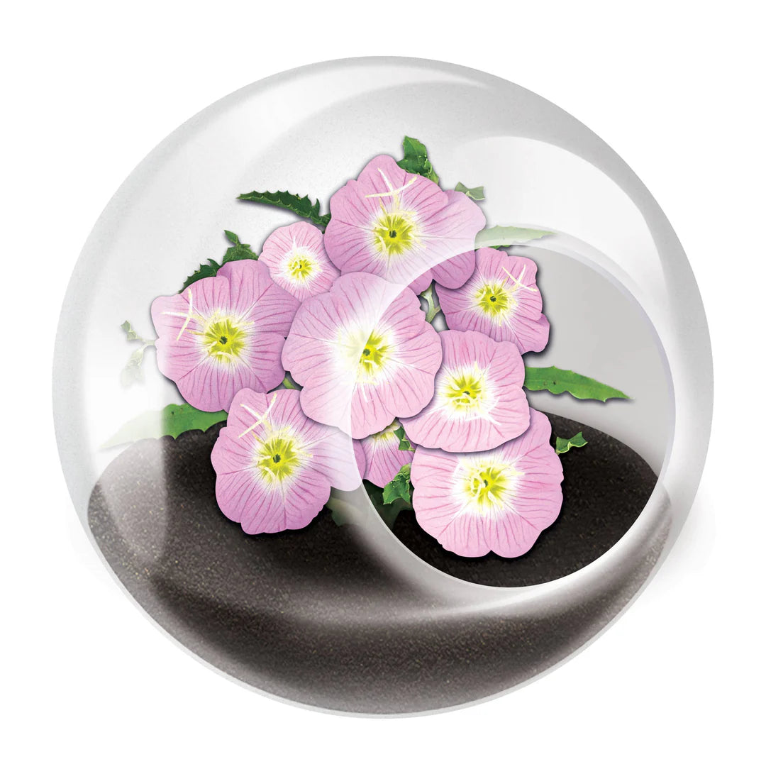 Tiny Terrariums- Flowers- Click to Pick!