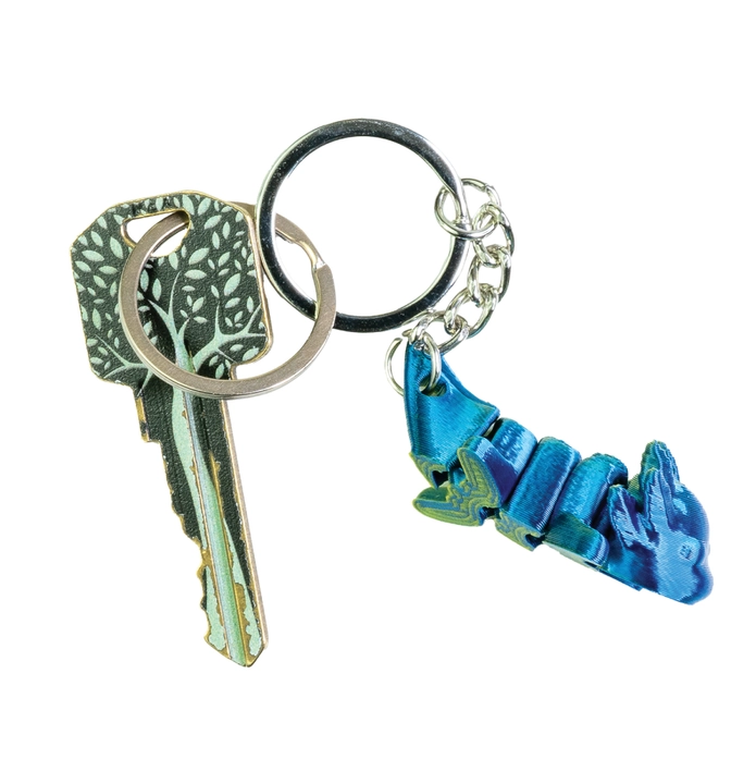 3D Printed Axolotl Key Chain – The Toy Shoppe Northport