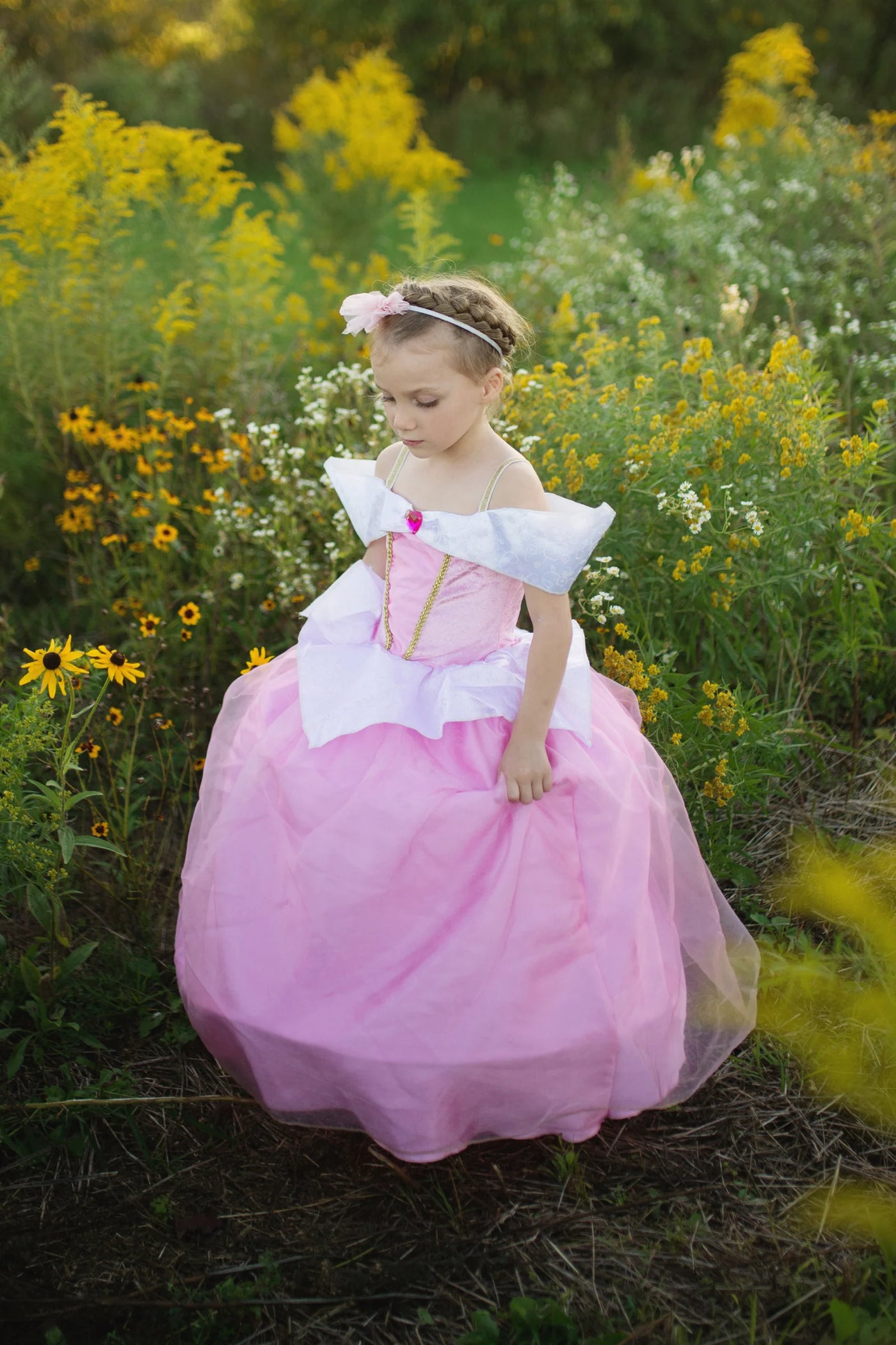 Deluxe Sleeping Beauty Gown Size 5/6