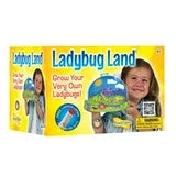 Ladybug Land with Voucher