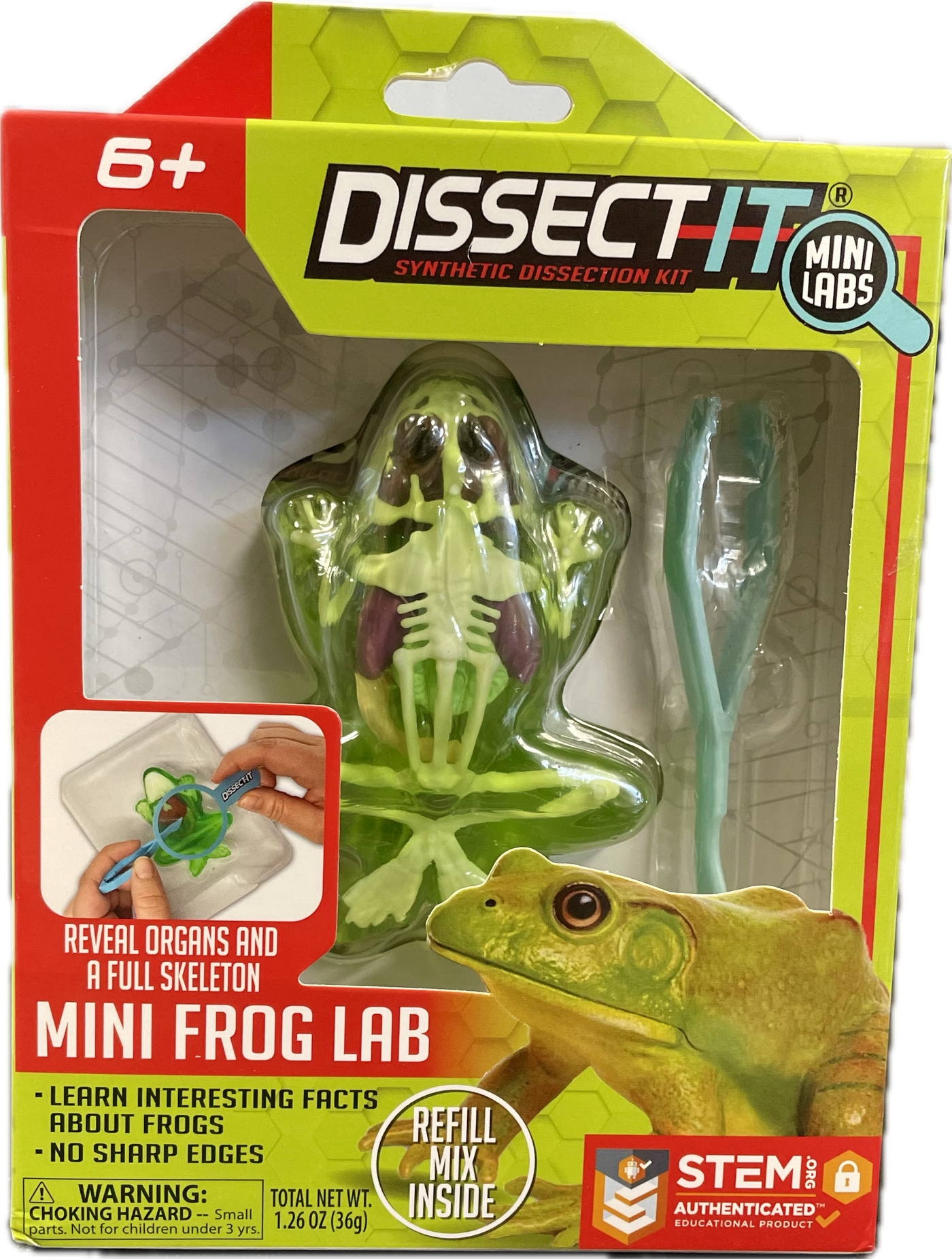 Dissect-It Mini Labs- Frog