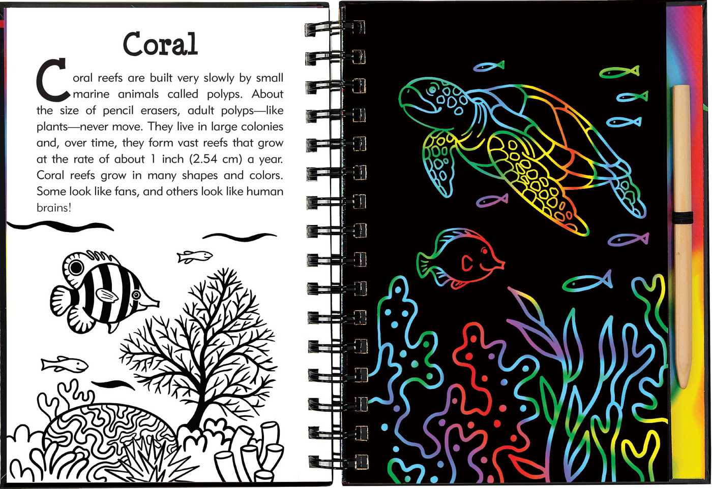 Under the Sea Scratch and Sketch – The Toy Shoppe Northport