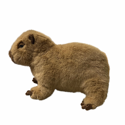 Chattie Super Soft Capybara