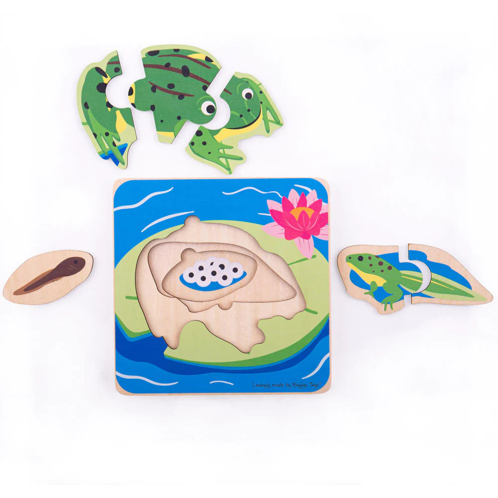 Frog Lifecycle Layer Jigsaw Puzzle