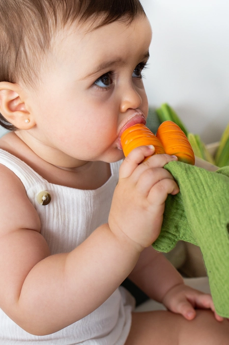 Cathy the Carrot Mini Doudou Teether