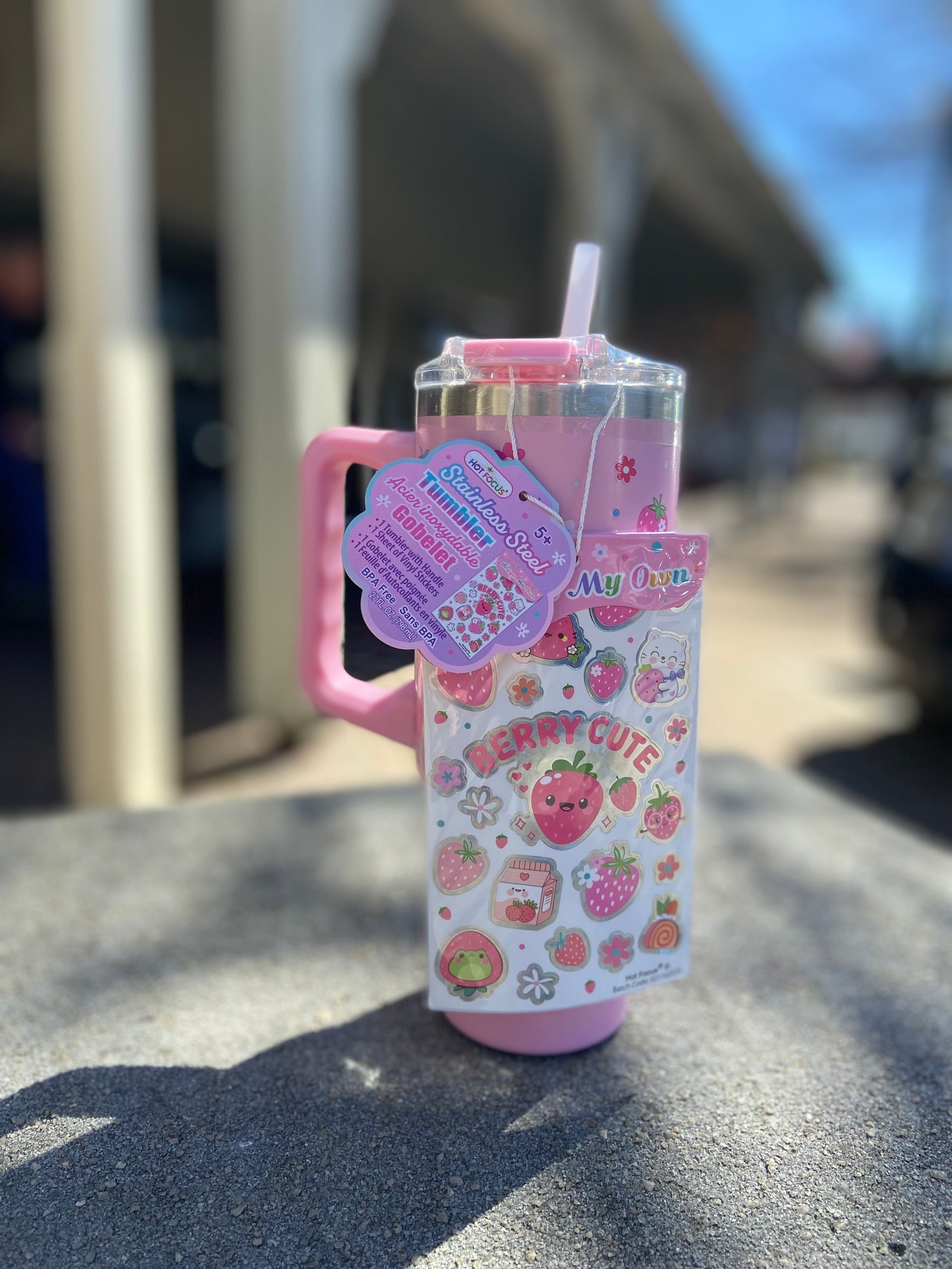 Decorate Your Own Stainless Steel Strawberry Tumbler