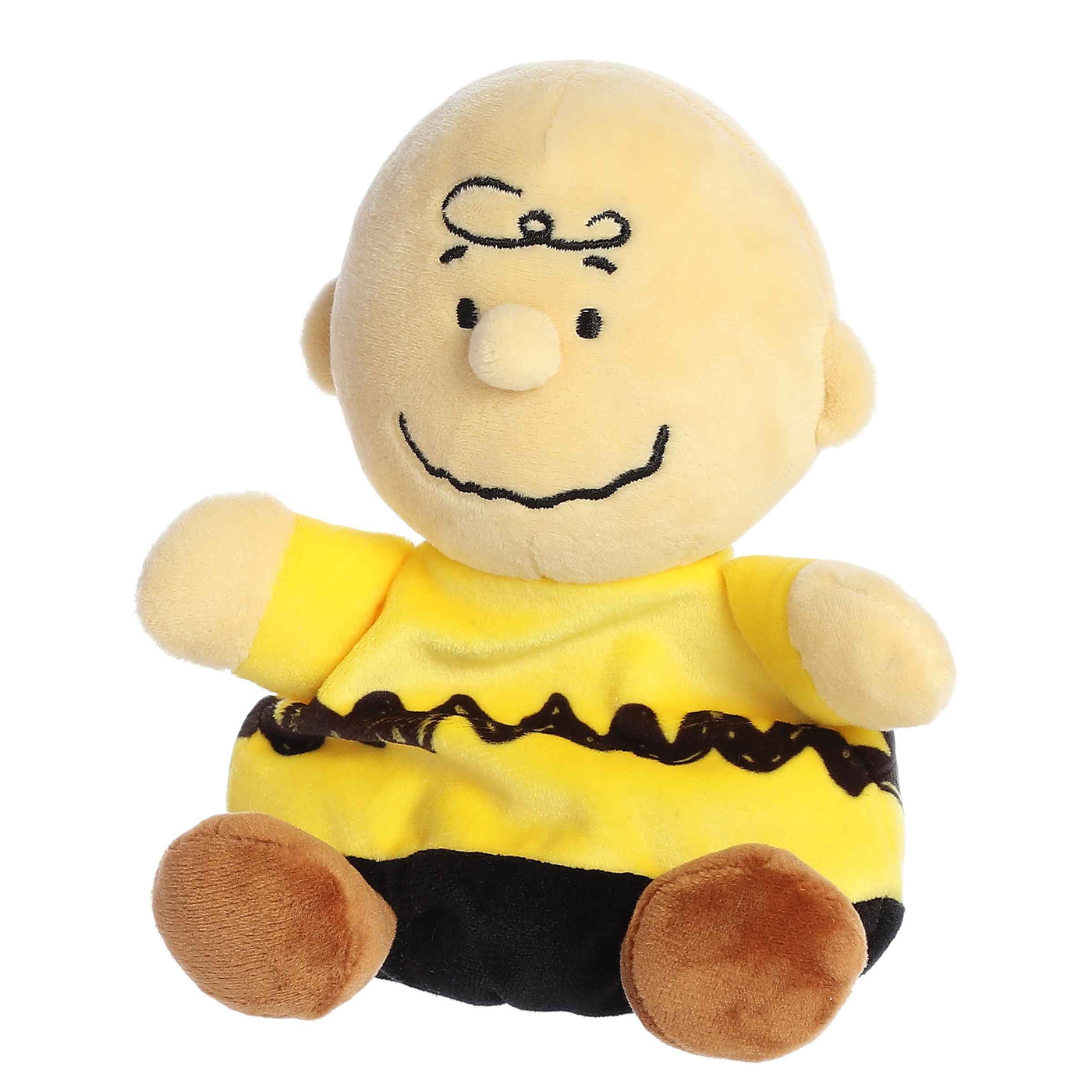 Charlie Brown Palm Pal