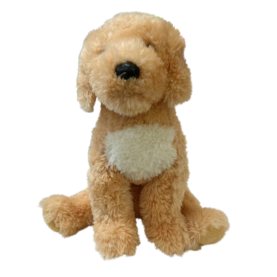 Noodle the Golden Doodle Large