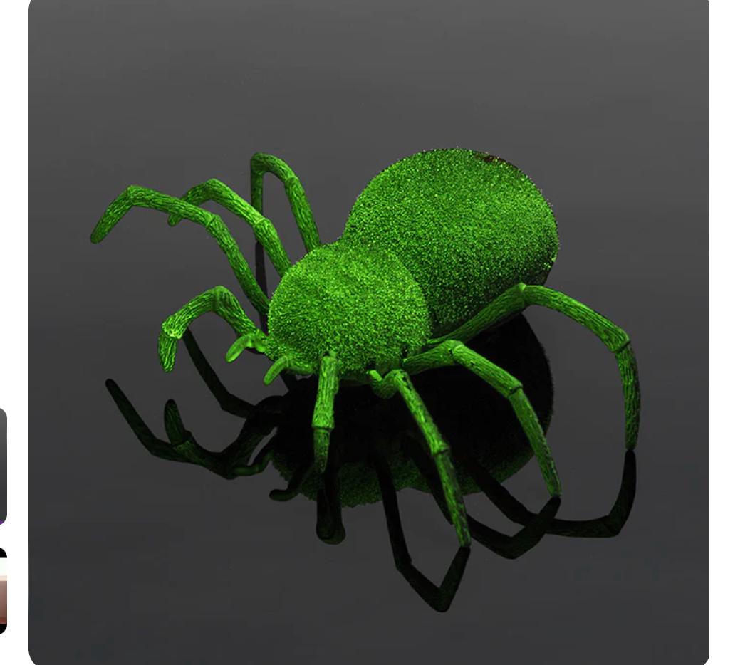 Spooky Spider