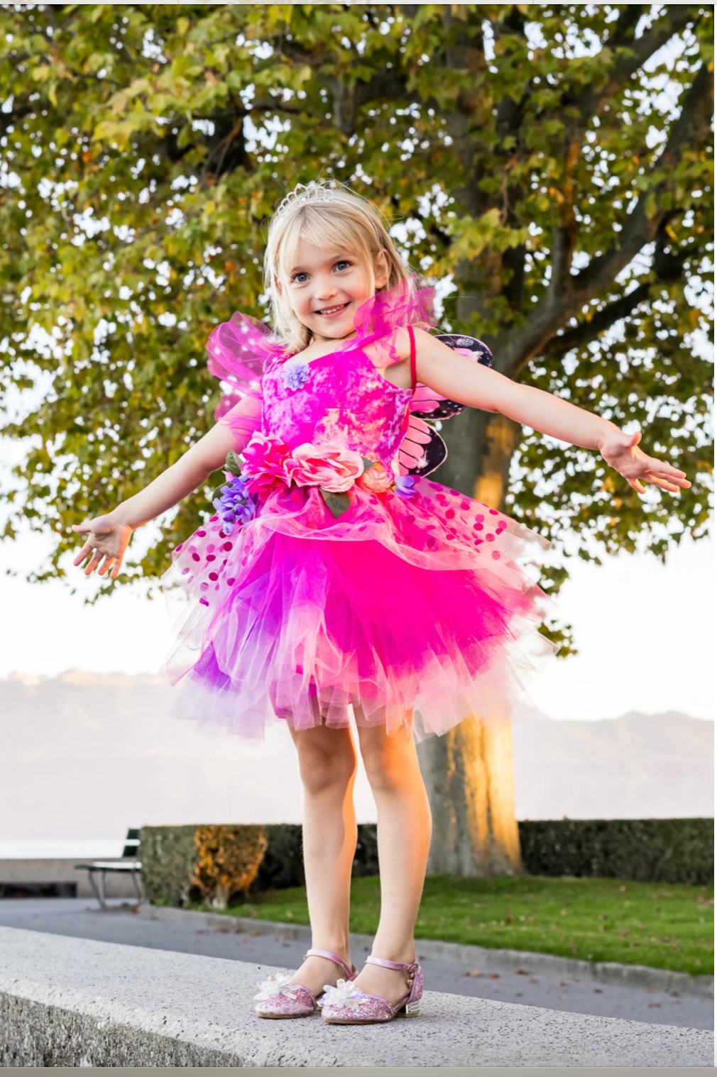 Fairy Blooms Deluxe Dress & Wings Size 3/4