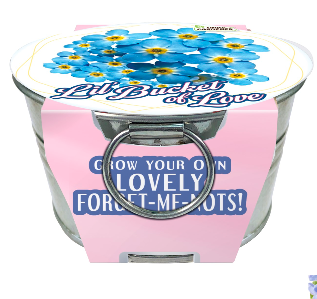 Grow Your Own Forget-Me-Nots