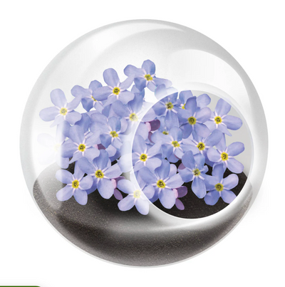 Tiny Terrariums- Flowers- Click to Pick!