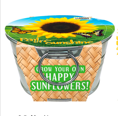 Grow Your Own Sunflowers