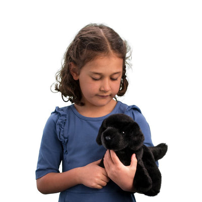 Bear Black Lab
