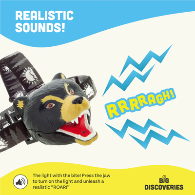 Black Bear Headlamp
