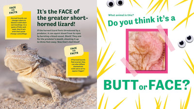 Butt or Face? Volume 3: Super Gorss Butts
