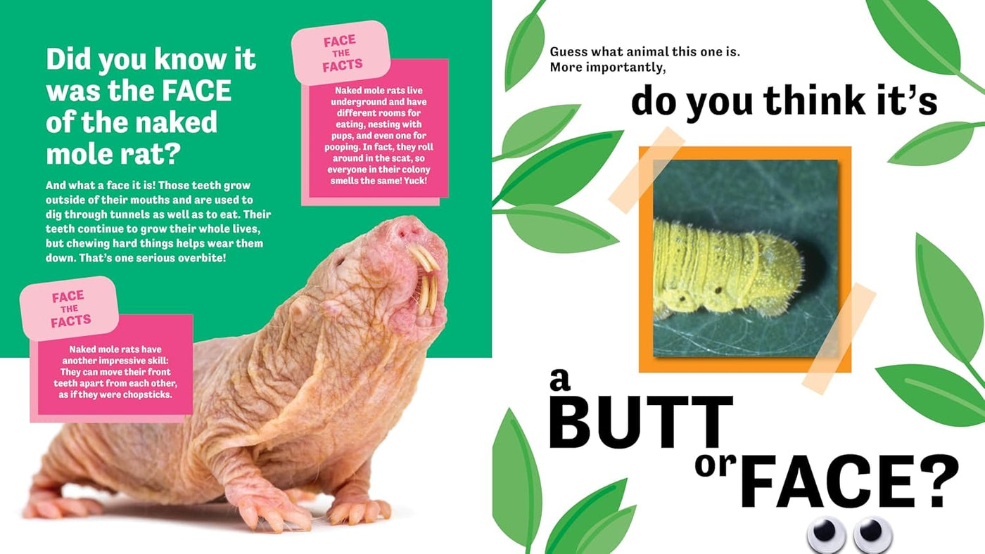 Butt or Face? Volume 3: Super Gorss Butts