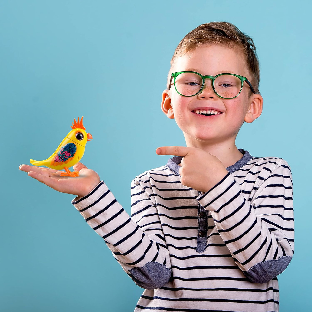 DigiBirds