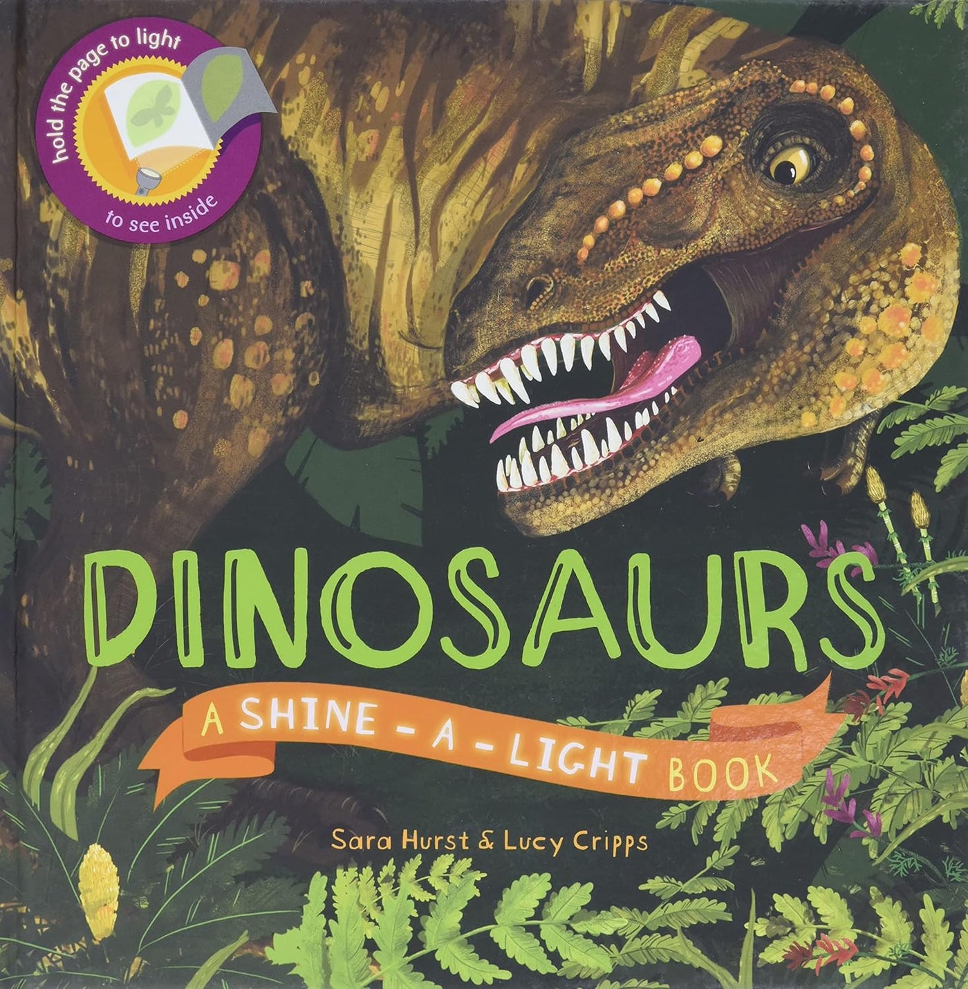 Dinosaurs Shine-A-Light Book