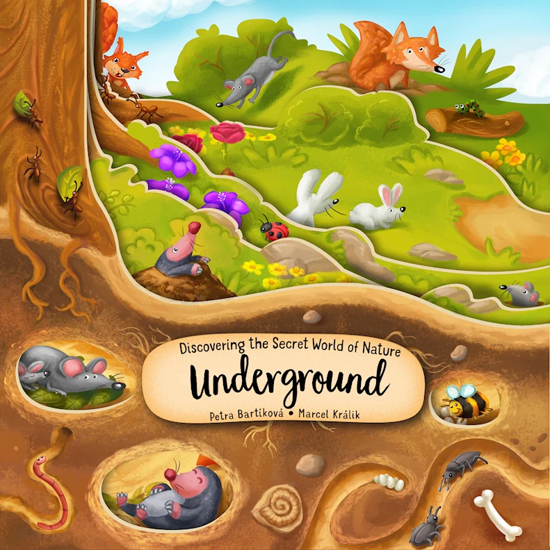 Discovering the Secret World of Nature Underground Big Board Book