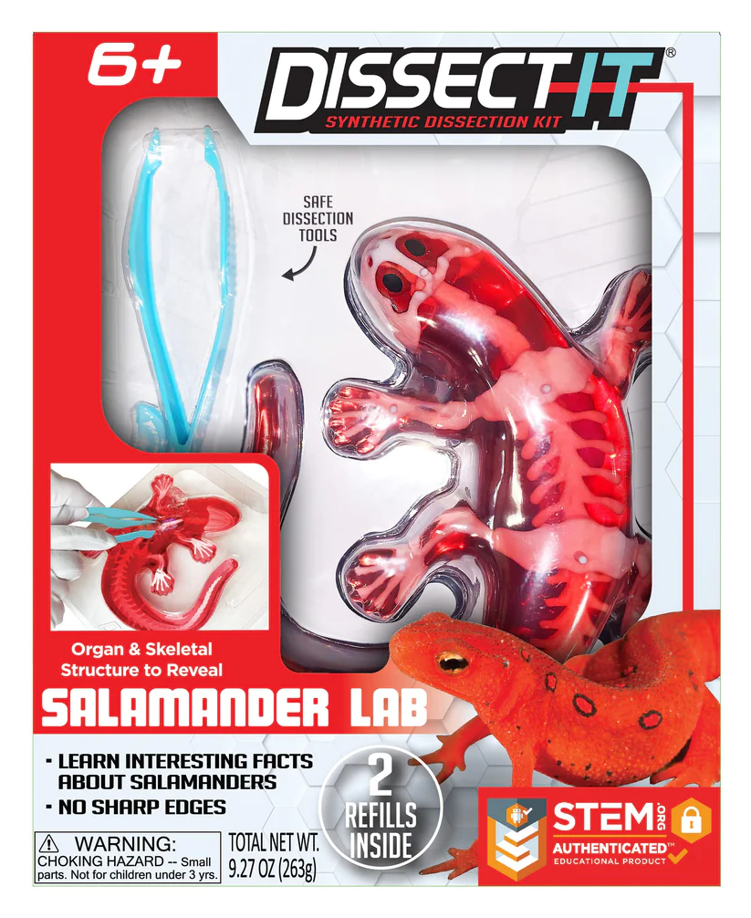 Dissect-It Salamander
