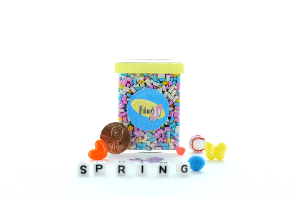 Find It Spring Mini Find and Seek Scavenger Hunt Game