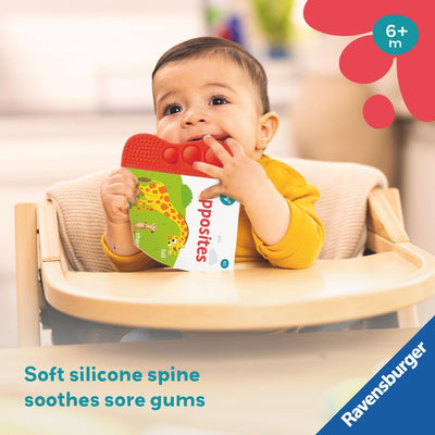 Flip & Pop Opposites