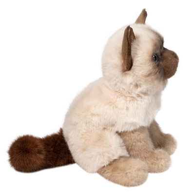 Fu Siamese Kitten