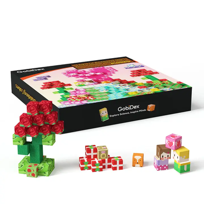 GobiDex Heart Blocks Magnetic Building Cubes 100 Pc Set
