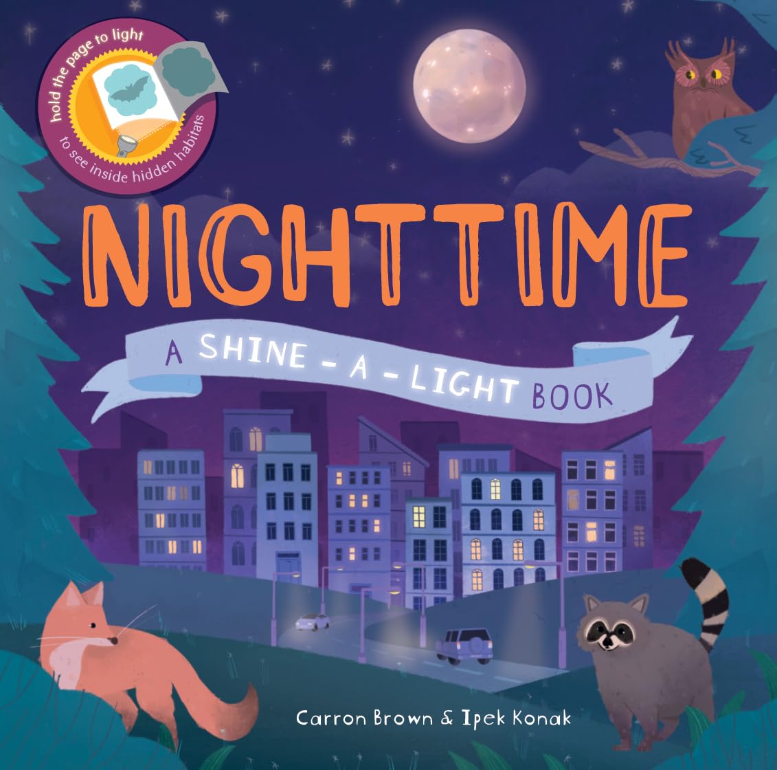Nighttime Shine-A-Light Book