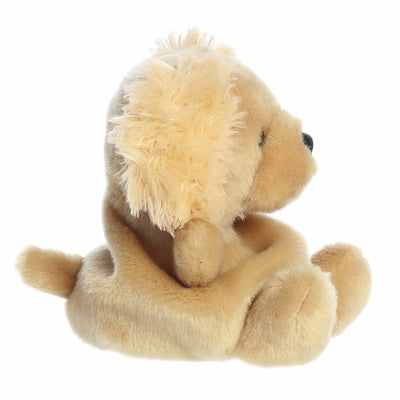 Oatmeal Golden Doodle Palm Pal