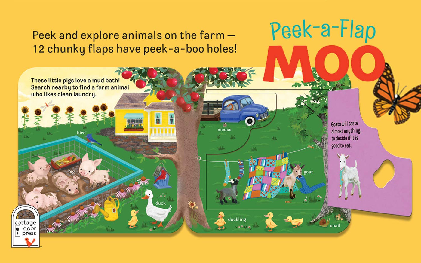 Peek-a-Flap Moo