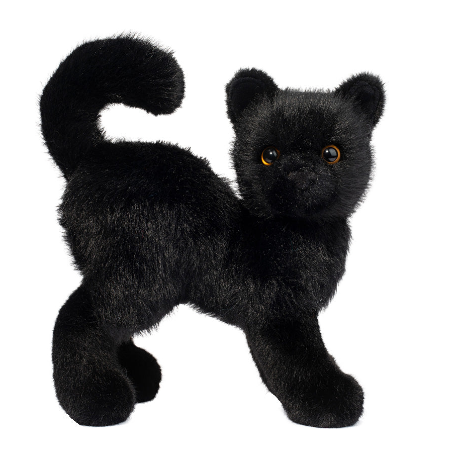 Scaredy Black Cat