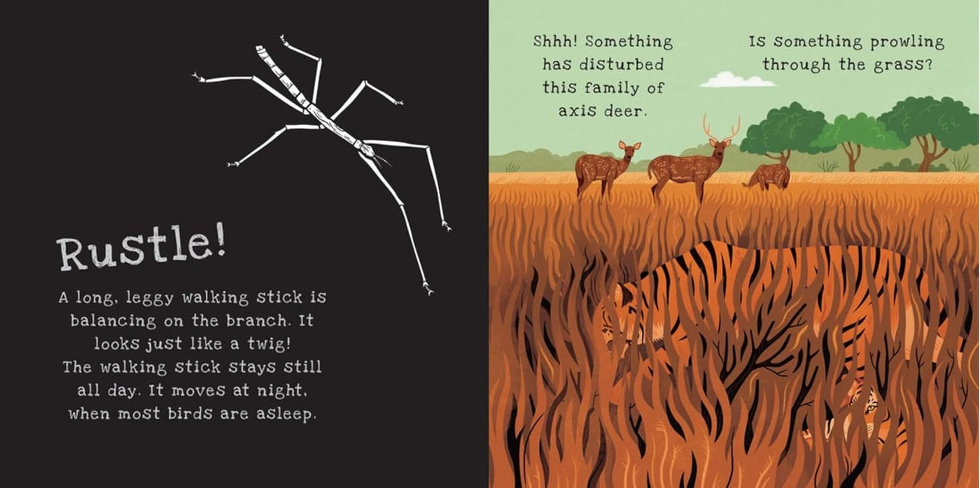 Secrets of Animal Camouflage Shine-A-Light Book