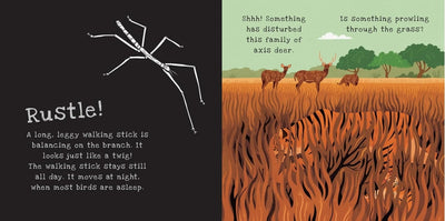 Secrets of Animal Camouflage Shine-A-Light Book