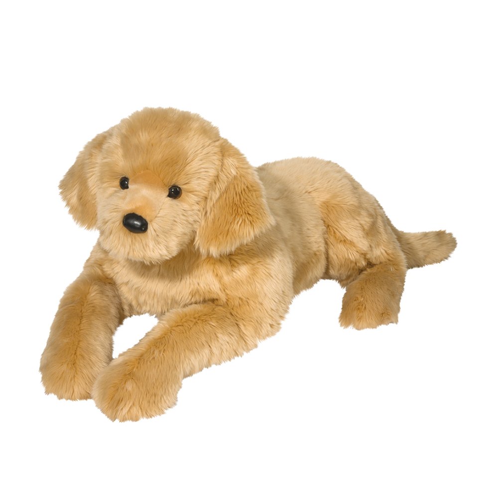 Sherman Golden Retriever Large!