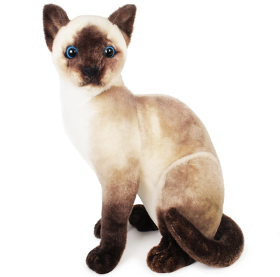 Stefan the Siamese Cat