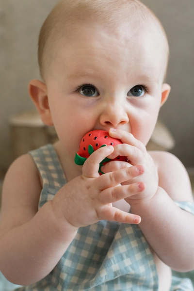 Sweetie the Strawberry Bath & Teether Toy