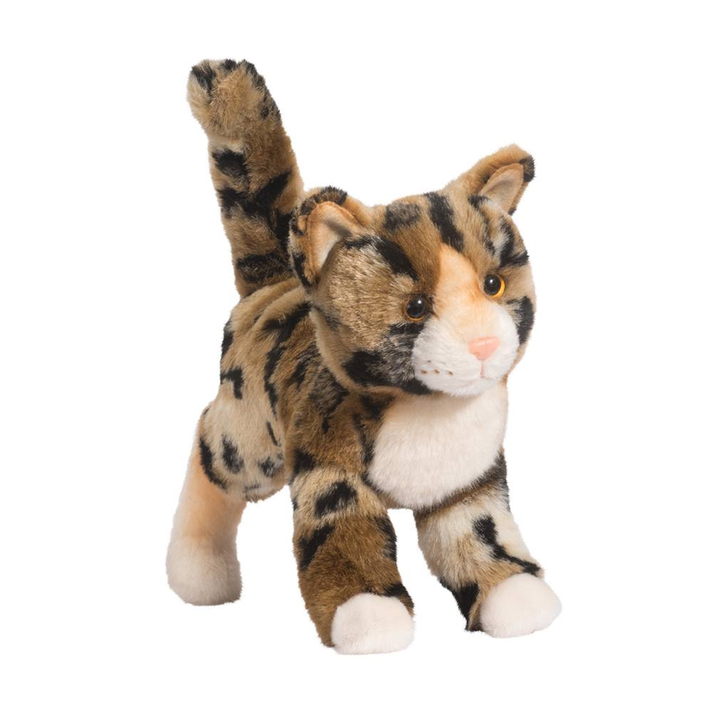 Tashette Bengal Kitten