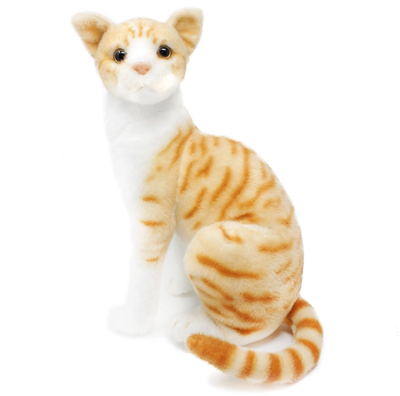 Tobias the Orange Tabby