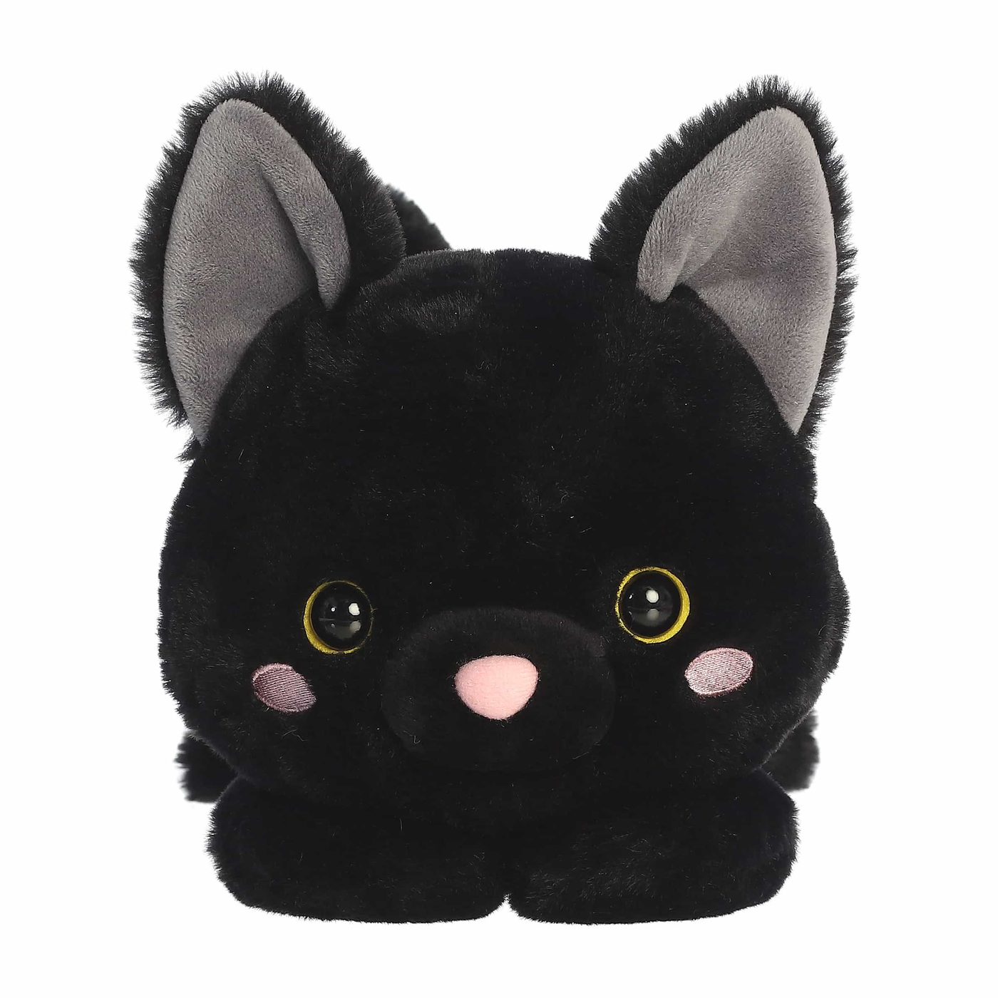 Too Cute Bella Black Cat