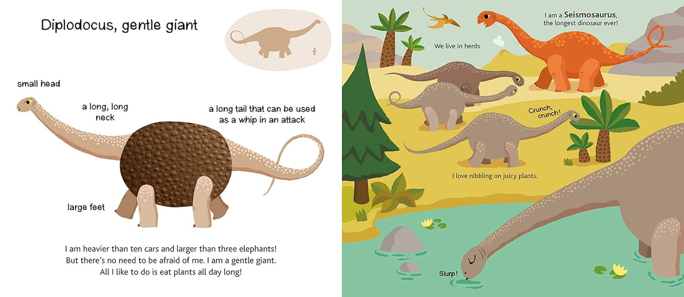 Touch and Explore Dinosaurs