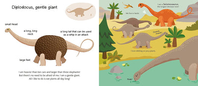 Touch and Explore Dinosaurs