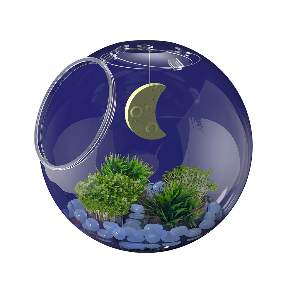 Wow in the World Light Up Terrarium