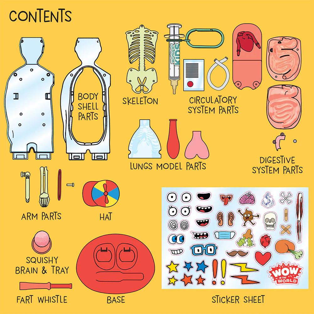 Wow In the World The Amazing Human Body