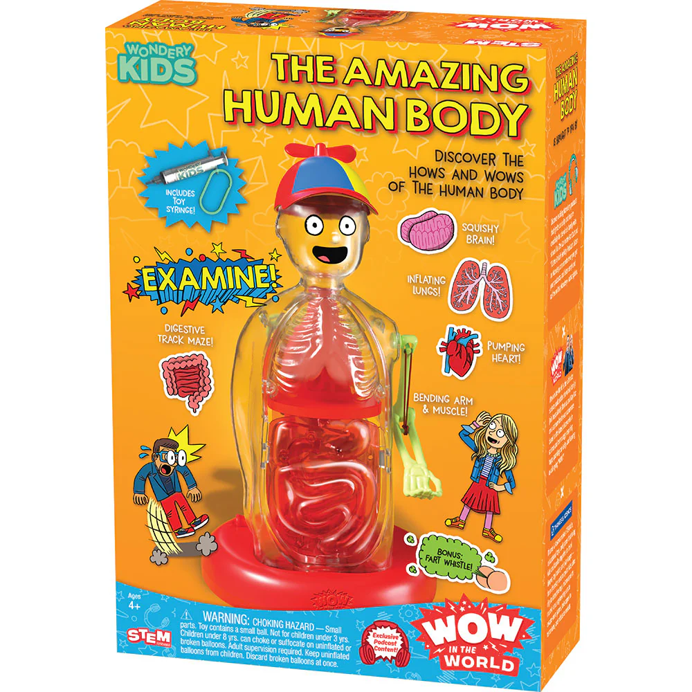 Wow In the World The Amazing Human Body
