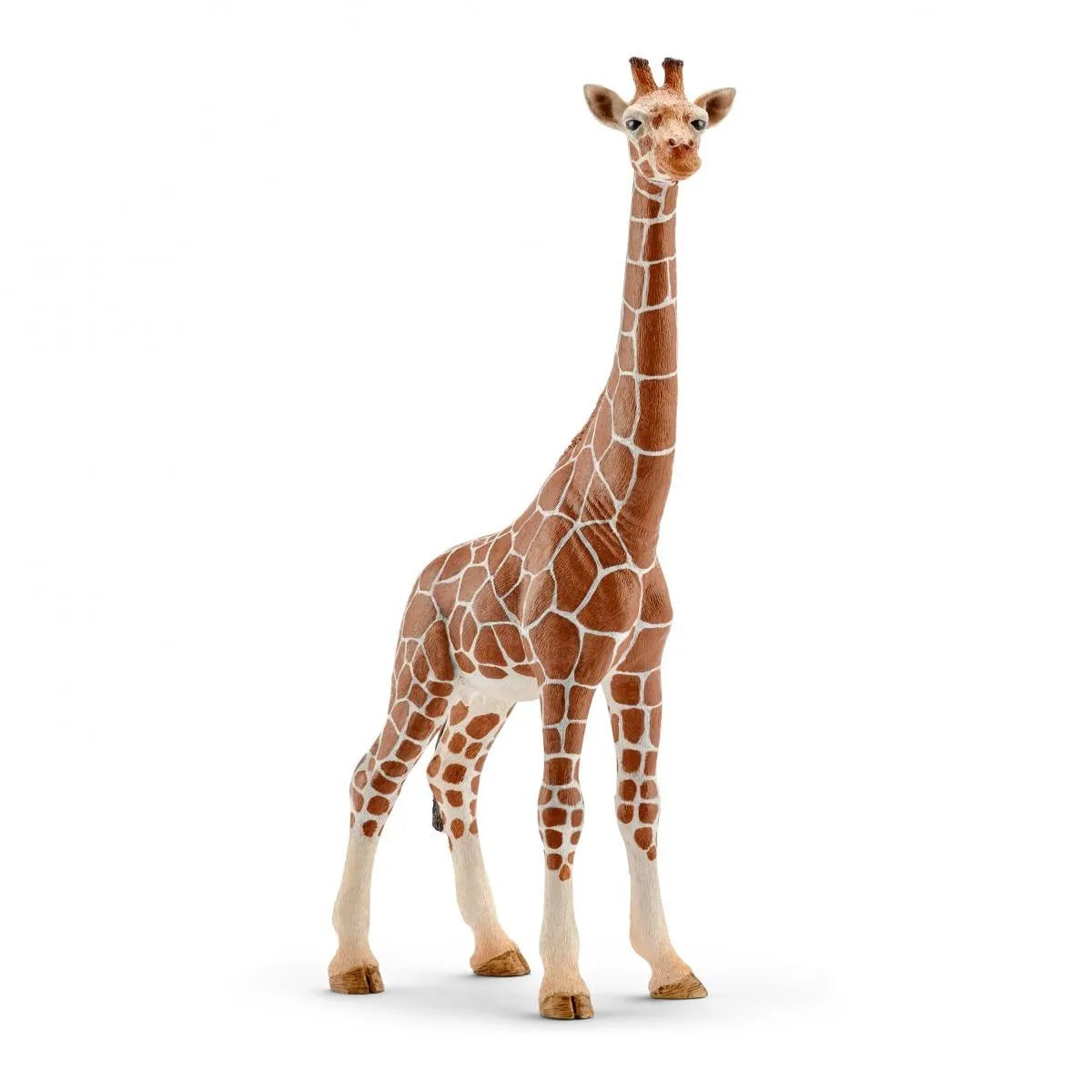 Giraffe (female)