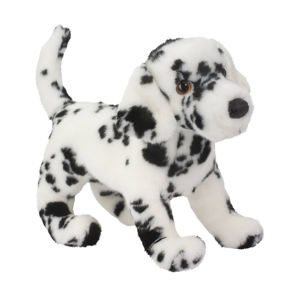 Winston the Dalmatian