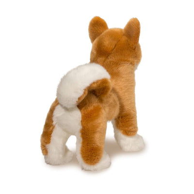 Dunham the Shiba Inu