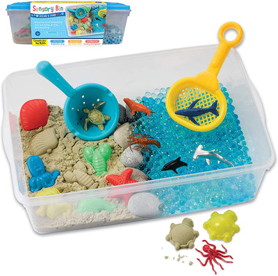 Sensory Bin - Ocean & Sand